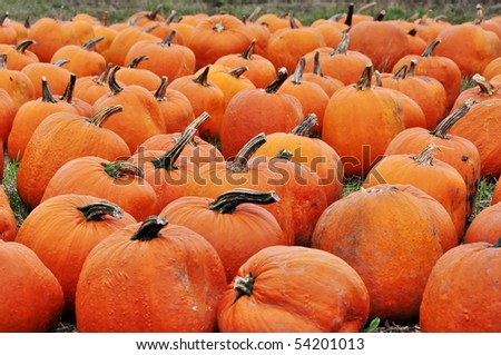 Fall harvesting in farm. Ontario, Canada