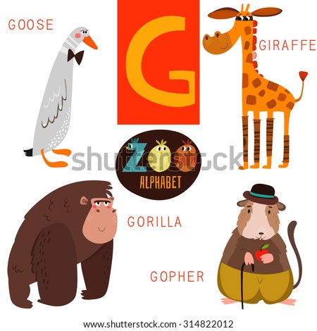 Cute Zoo Alphabet In Vector.G Letter. Funny Cartoon Animals:Goose ...