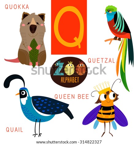 Cute Zoo Alphabet In Vector.Q Letter. Funny Cartoon Animals:Quokka ...