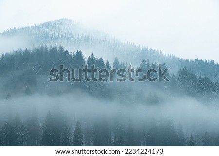 Similar – Foto Bild Nebelige Schneelandschaft