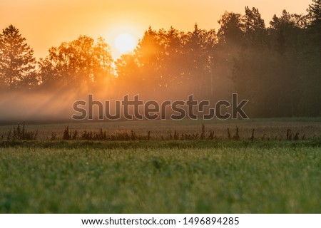 Similar – Image, Stock Photo In the morning
