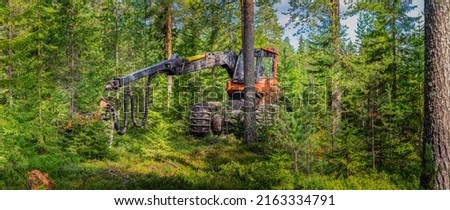 Similar – Image, Stock Photo timber harvest