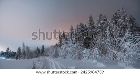 Similar – Image, Stock Photo Forest edge in heavy snowfall on holy evening 2021