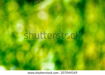 nature, grass, background magic, magical, summer, green background, grass, detail, macro, blurred, photo, space