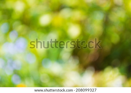 green background, green, circles, dots, white, shades of green, spring, soothing colors, peace, peace, love, romance