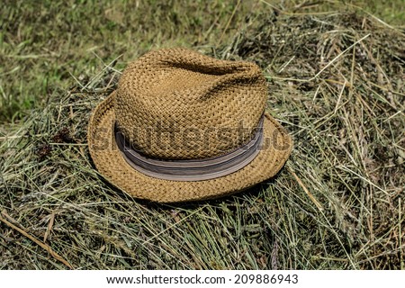 straw hat, hat, farm, rural, hay, grass, nature, leisure, work, fashion accessory, fashion, headgear, sun, brown, dry grass, ranching, home, home and garden,