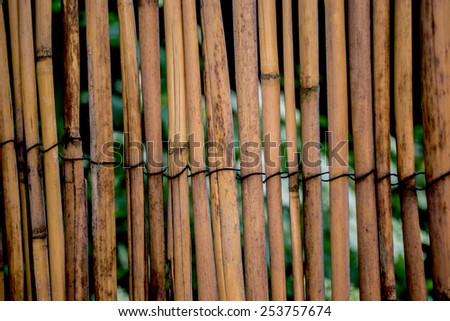 rattan, bamboo, curtains, mats, nature, natural, plant, shrub, tree, leaves, green, brown, firm, private terrace, dried, stick, rattan, background,