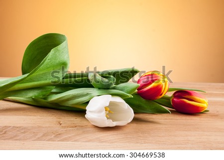 white tulip, red tulip, tulips on board, tulips on an orange background, beige background, background, sand, snow, white and red, beautiful bouquets, Valentine\'s Day, Mother\'s Day,yellow tulip