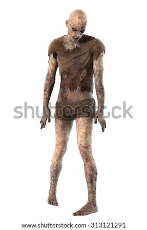 Zombie Isolated On White Background Stock Photo 313121291 : Shutterstock