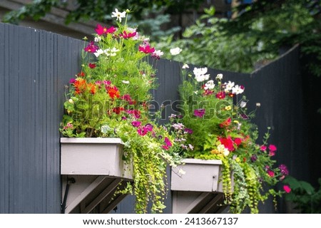 Similar – Image, Stock Photo Garden fence with purple tips forms arch