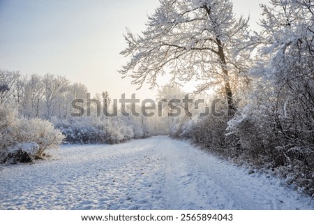 Similar – Image, Stock Photo Linz in the morning II