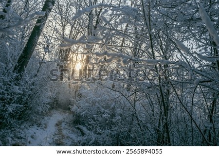 Similar – Image, Stock Photo Linz in the morning II