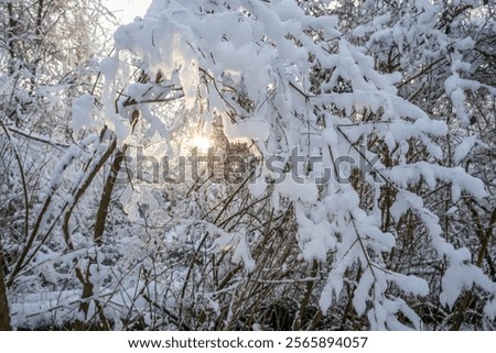 Similar – Image, Stock Photo Linz in the morning II