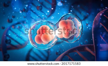 Human Cell Division under a microscope. Cellular Therapy. 3d illustration science and medical background. Stockfoto © 