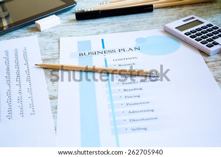 Presenting a Business Plan with a strategy to develop