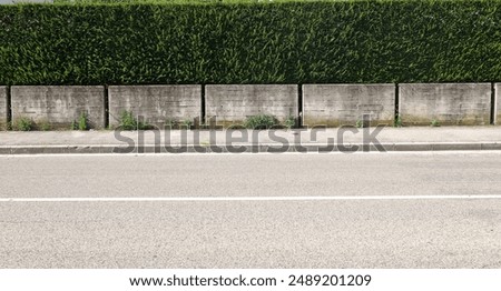 Similar – Image, Stock Photo Weeds in front of a construction fence with wooden boards in front of a new building with scaffolding at the harbour in Offenbach am Main in HesseUrbanityUrban life