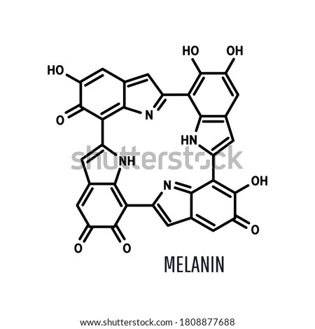 Melanin structural chemical formula on a white background