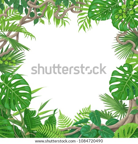 Summer background with green leaves of tropical plants and liana branches. Jungle frame with space for text. Tropic rainforest foliage border. Vector flat illustration.