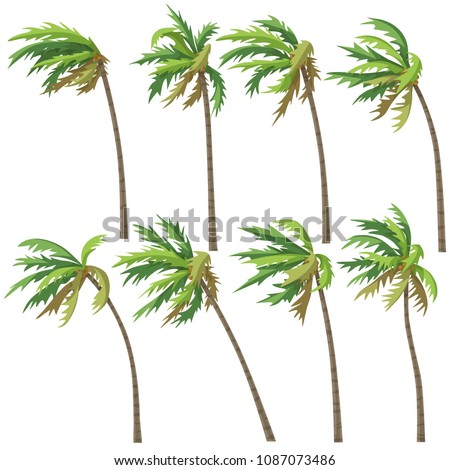 Set of palm trees on wind storm isolated on white background. Tropical landscape element design. Vector flat illustration.