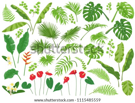 Vivid tropical flowers and green leaves isolated on white background. Tropic plant big set.  Vector flat illustration. 