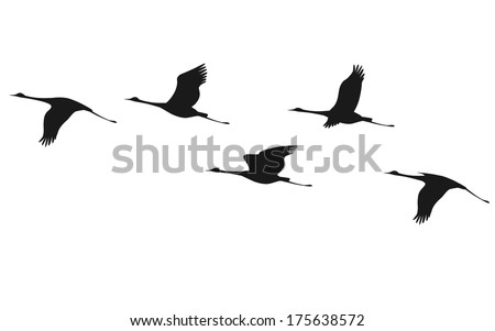 Similar – Image, Stock Photo Cranes in group flight in front of a blue sky with clouds