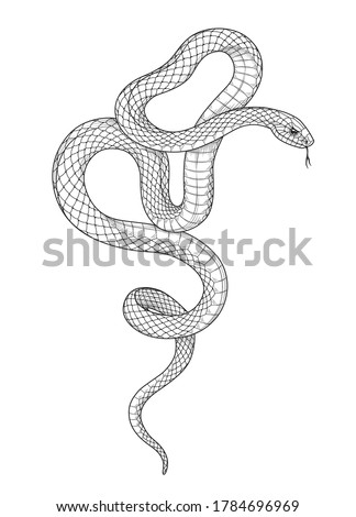 Snake Outline Drawing | Free download on ClipArtMag