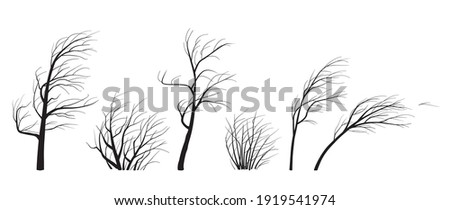 Set of trees and bushes without leaves isolated on white background. Black silhouettes of young trees in wind. Landscape element design. Monochrome simple plants vector flat illustration.