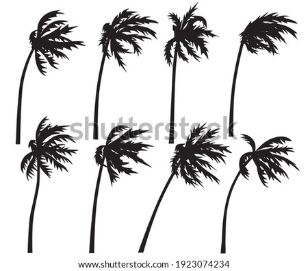 Set of palm trees in wind storm isolated on white background. Black silhouettes of trees in wind. Tropical landscape element design. Monochrome simple plants vector flat illustration.