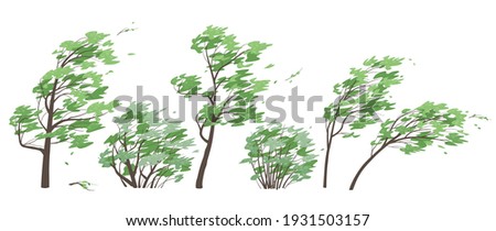 Set of trees and bushes with green leaves isolated on white background. Deciduous tree in blowing wind, windy weather, plants during a storm. Simple vector illustration in flat cartoon style.