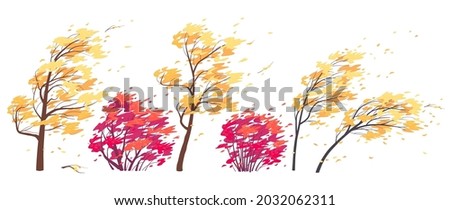 Similar – Image, Stock Photo autumn wind tree Autumn