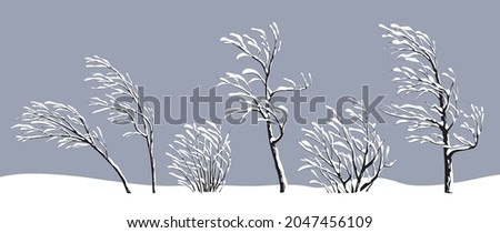 Similar – Foto Bild Wintersträucher Wald