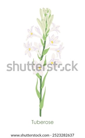 Similar – Image, Stock Photo odor Flower Garden Blossom