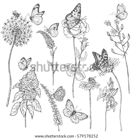Hand drawn set of butterflies, bees and wildflowers.
Set of monochrome  flying and sitting insects near the flowers. Black and white doodle floral elements. Vector sketch.
