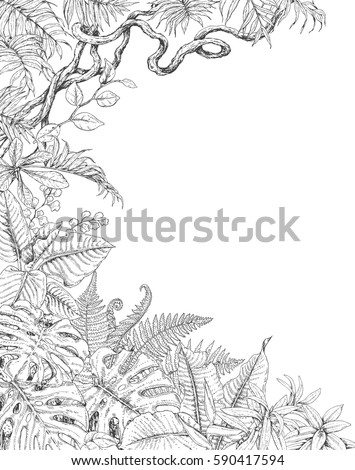 Hand drawn branches and leaves of tropical plants. One sided tropic  background with space for text. Monstera, fern, palm fronds, liana sketch. Black and white illustration coloring page for adult.