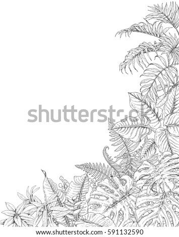 Hand drawn branches and leaves of tropical plants. Corner background with space for text. Monstera, fern, palm fronds sketch. Black and white illustration coloring page for adult.