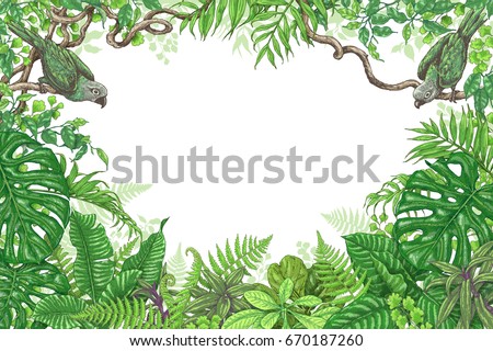 Hand drawn branches and leaves of tropical plants. Vivid rectangle horizontal floral frame with birds sitting on liana branches. Vector sketch. Space for text.