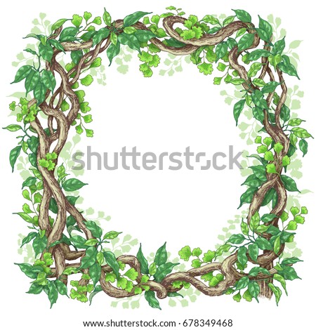 Hand drawn branches and leaves of tropical plants. Square frame made with green fern, ficus   and liana trunks.  Space for text. Vector sketch.