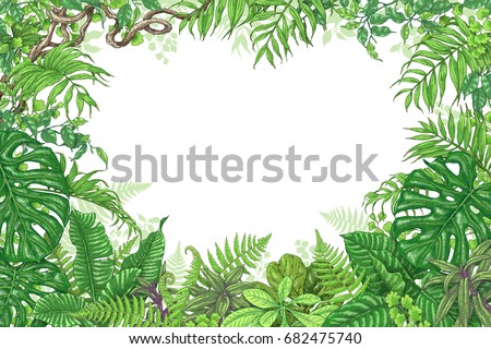 Hand drawn branches and leaves of tropical plants. Green rectangle horizontal floral frame with liana branches. Vector sketch. Space for text.