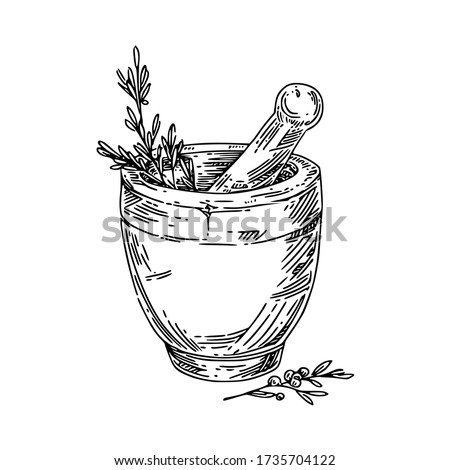 Stone mortar with herbs. Sketch. Engraving style. Vector illustration. Foto stock © 