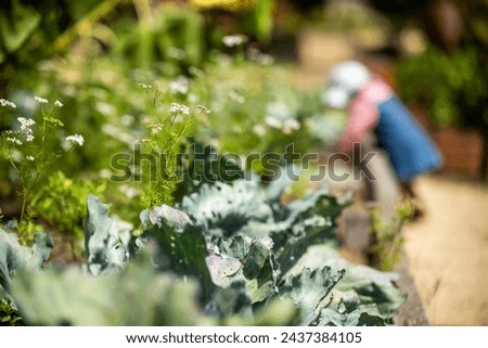 Similar – Foto Bild Erntezeit Kleinkind Frau