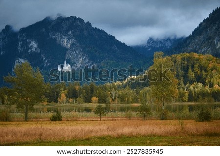 Similar – Foto Bild Schwanensee Ausflug