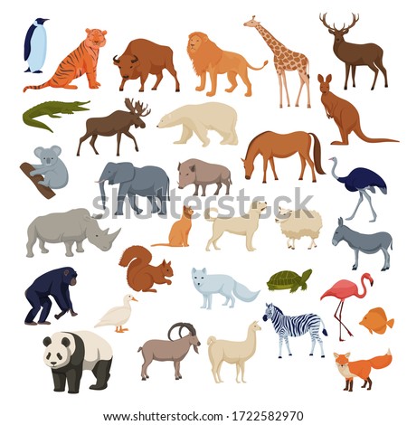 Wild home pets set. Wild animals bison elephant fox rhinoceros deer polar bear arctic fox, color cartoon vector, panda giraffe lion, elk, chimpanzee and domestic dog, cat, horse, duck, donkey.