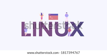 Linux operating system. Platform software with administration technology internet development and programming system configuration of data security shell firmware with secure vector interface.