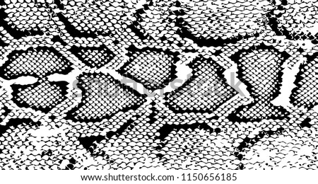 Skin,snake,texture,design,macro - free photo from needpix.com