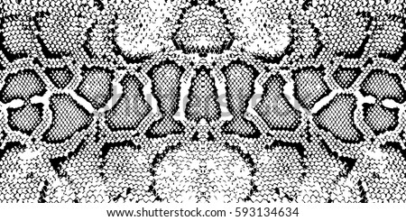 Rattlesnake Clipart Black And White 