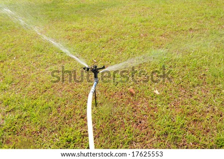 watering with sprayer on the verdure meadow in the garden.
