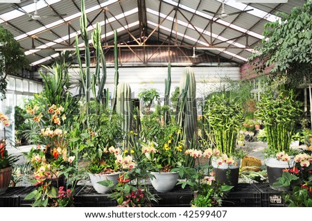 Modern conservatory garden with many tropical indoor ornamental plants.