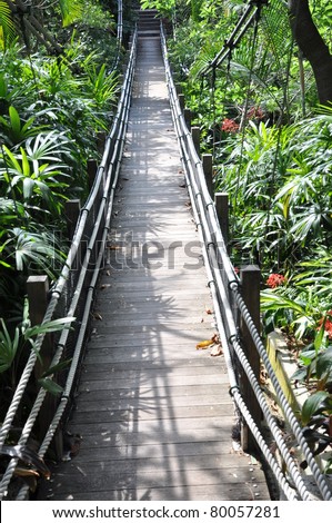 The suspension foot bridge for trekkers in tropical jungle in a wetland park in Hongkong,China.