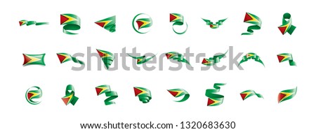 Guyana flag, vector illustration on a white background