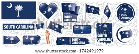 Vector set of flags of the American state of South Carolina in different designs